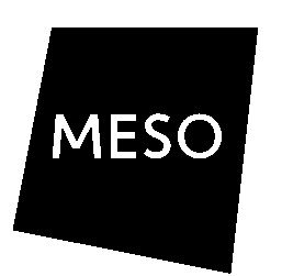 MESO20 Logo